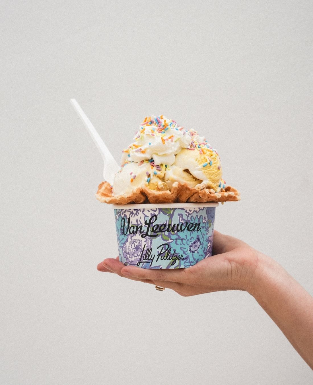 Van Leeuwen Ice Cream