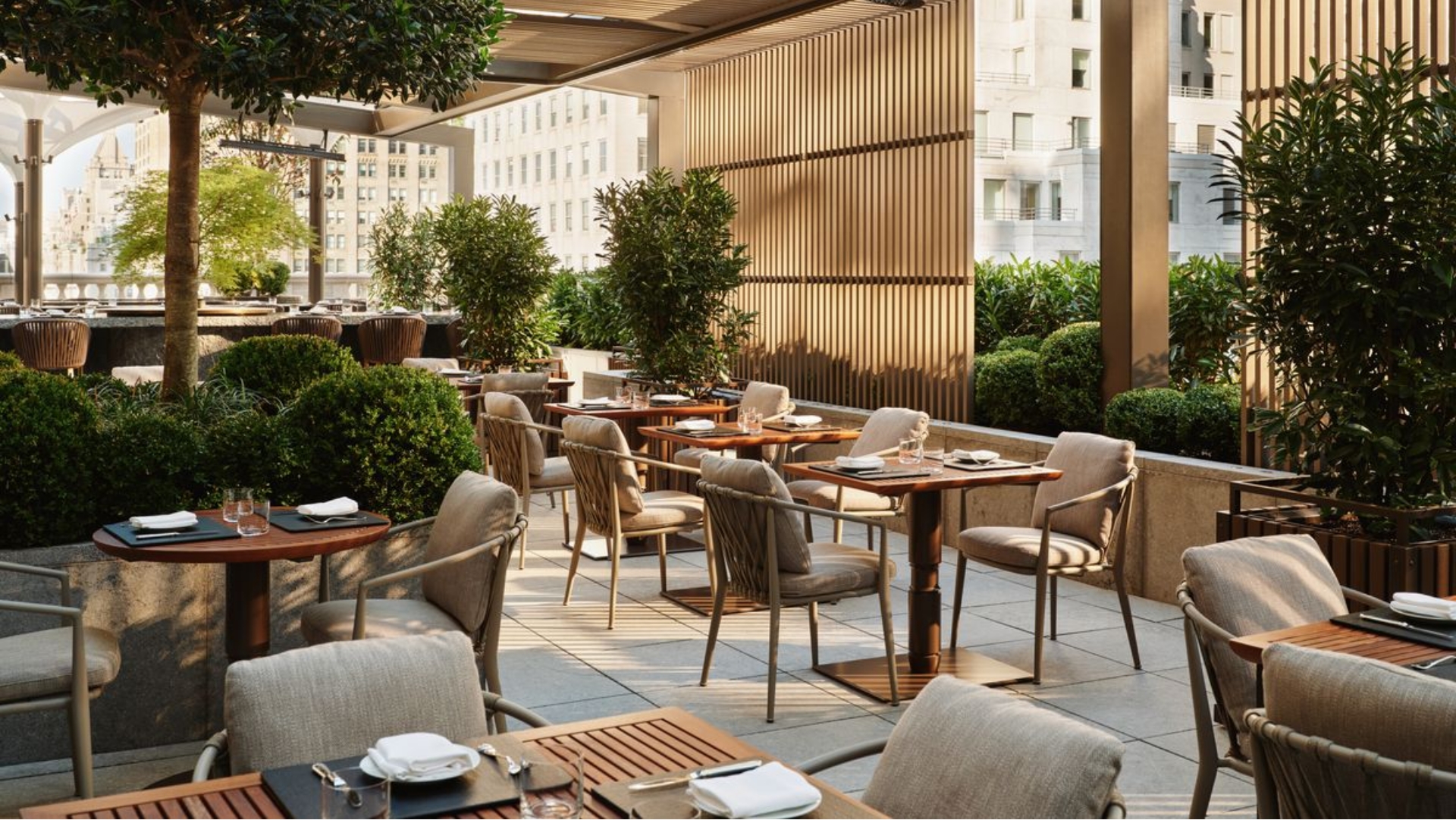 Ascend.
Elevated above the city, the rooftop restaurant and lounge offers a sophisticated social escape with sweeping views of the District skyline. Here, destination dining meets vibrant energy, with a menu crafted for sharing and lingering beneath the open sky. Two bars, private cabanas, and a resort-inspired pool create an atmosphere that transitions seamlessly from sunset aperitifs to late-night gatherings, delivering a rooftop experience defined by style and momentum.