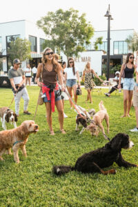 Dogs & Dogs September
